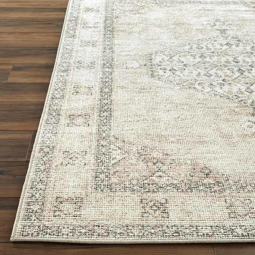 Jamesa Traditional Blush/Beige Area Rug