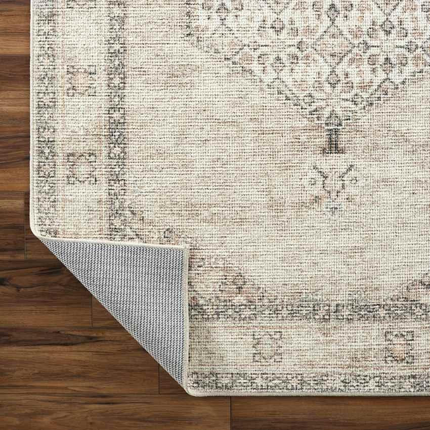 Jamesa Traditional Blush/Beige Area Rug