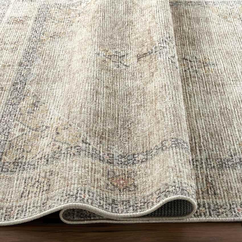 Jamesa Traditional Light Brown/Cream Area Rug