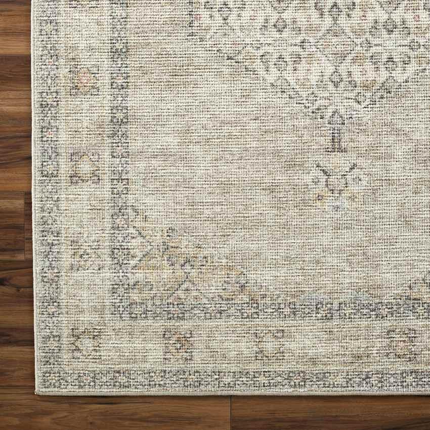 Jamesa Traditional Light Brown/Cream Area Rug