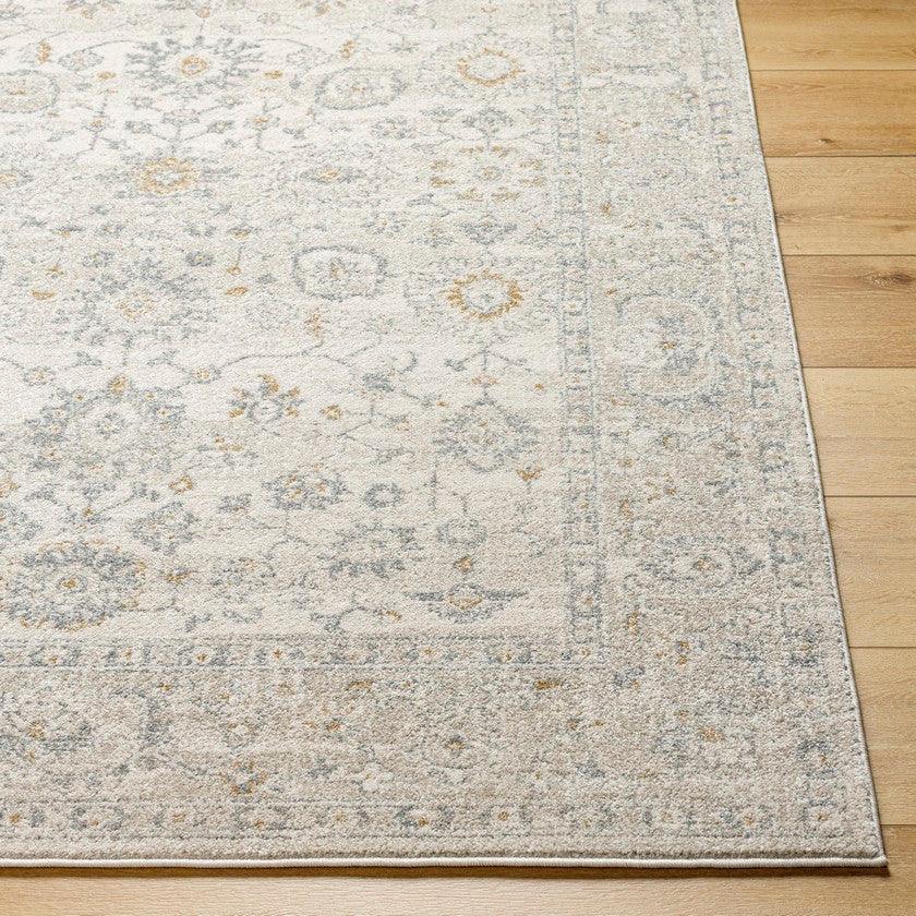 Johney Traditional Light Gray Area Rug