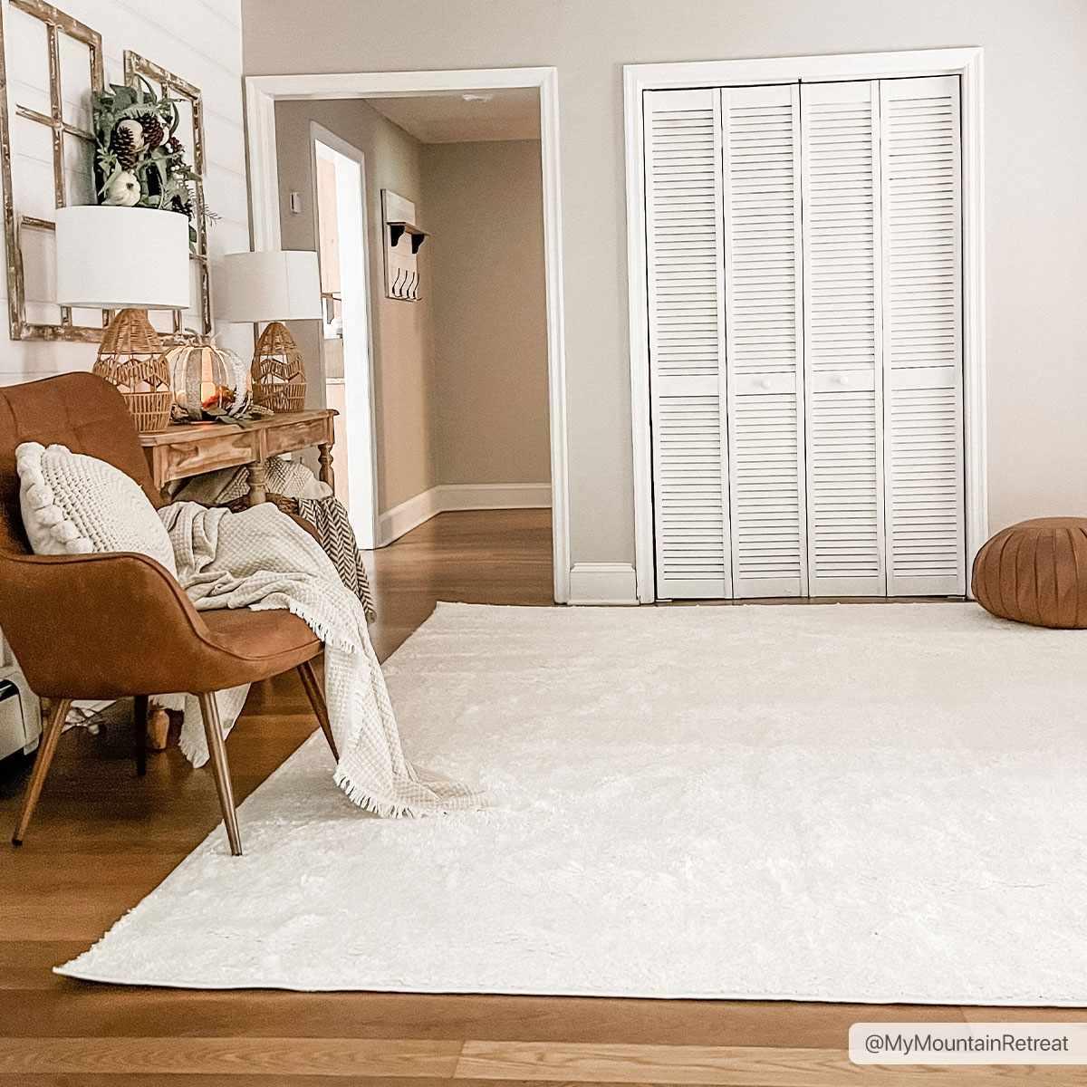 Judy Solid White Washable Rug