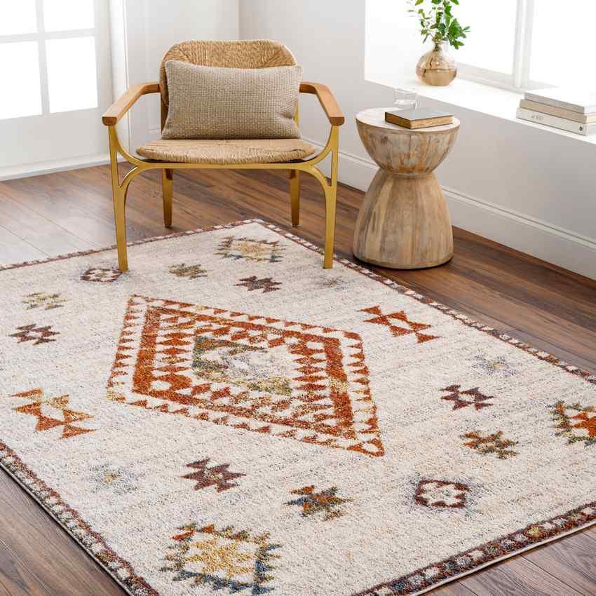 Keva Traditional Burnt Orange Area Rug