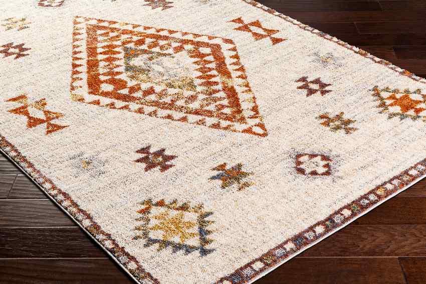 Keva Traditional Burnt Orange Area Rug