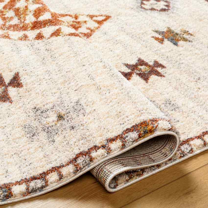 Keva Traditional Burnt Orange Area Rug