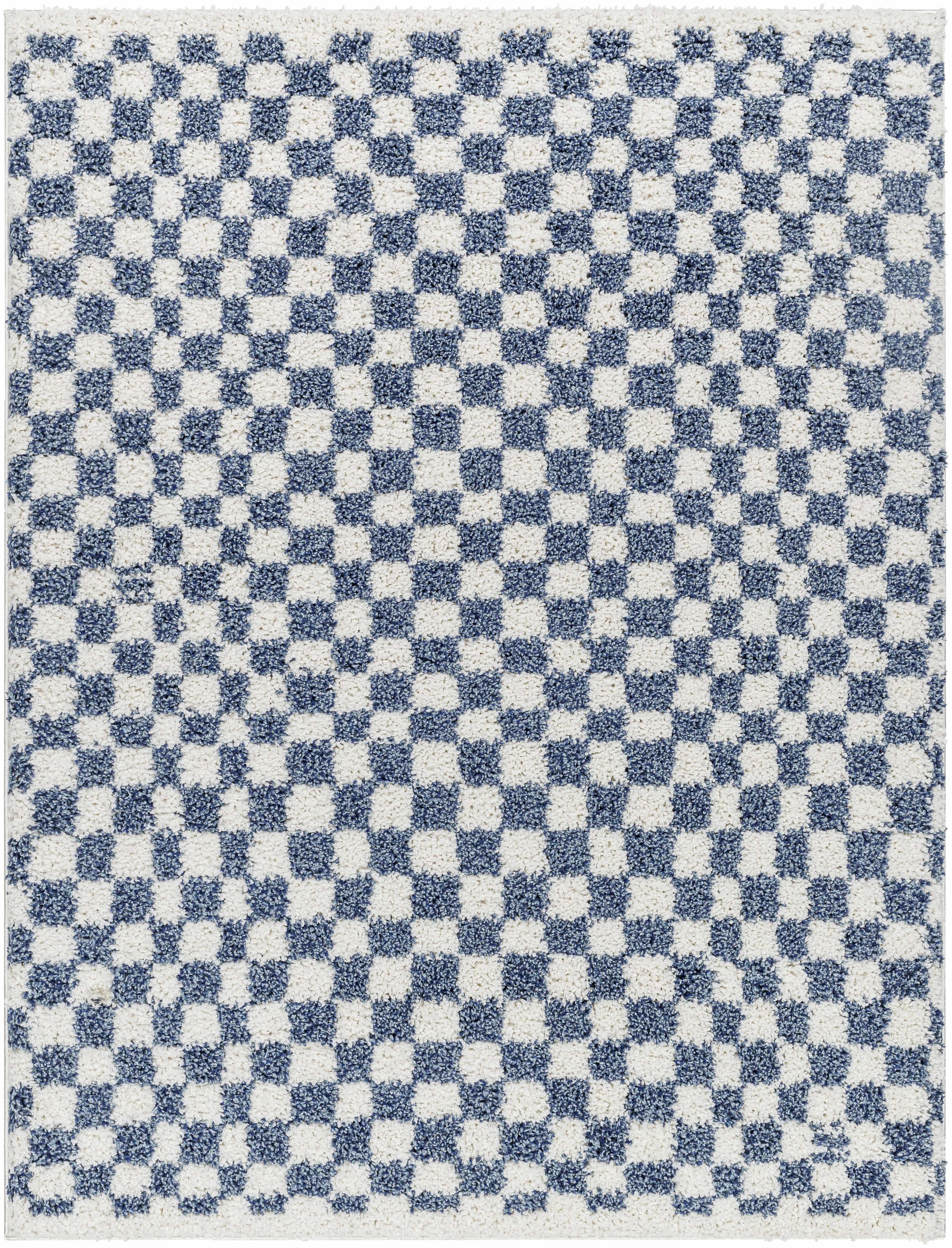 Kieu Blue & White Checkered Area Rug