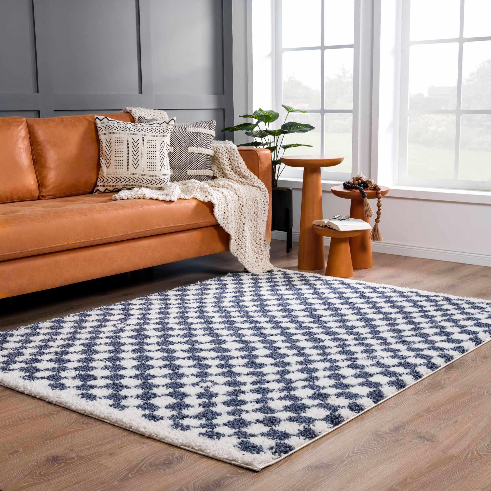 Kieu Blue & White Checkered Area Rug