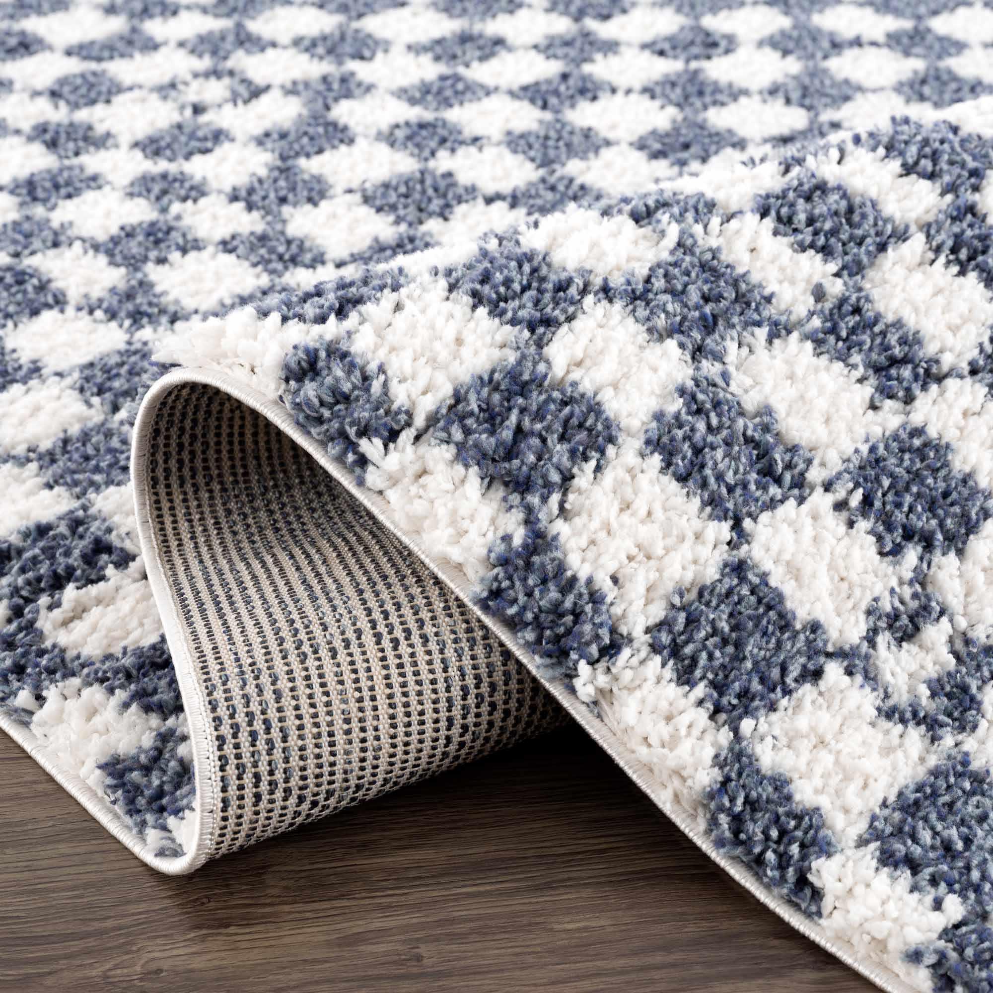 Kieu Blue & White Checkered Area Rug