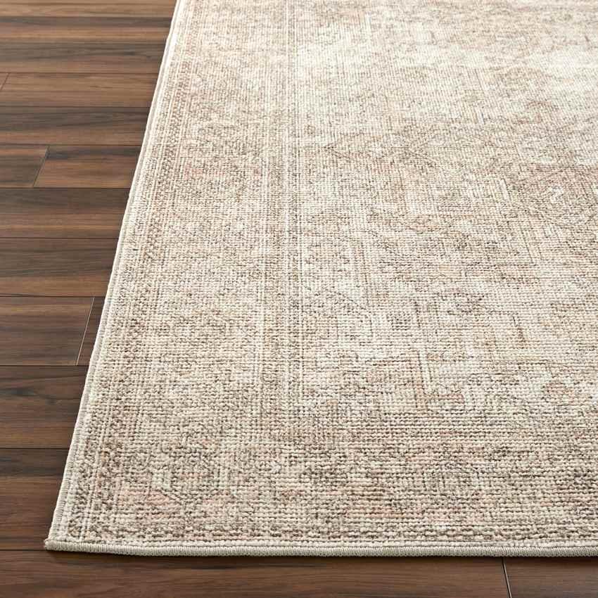 Kole Traditional Blush/Cream Area Rug