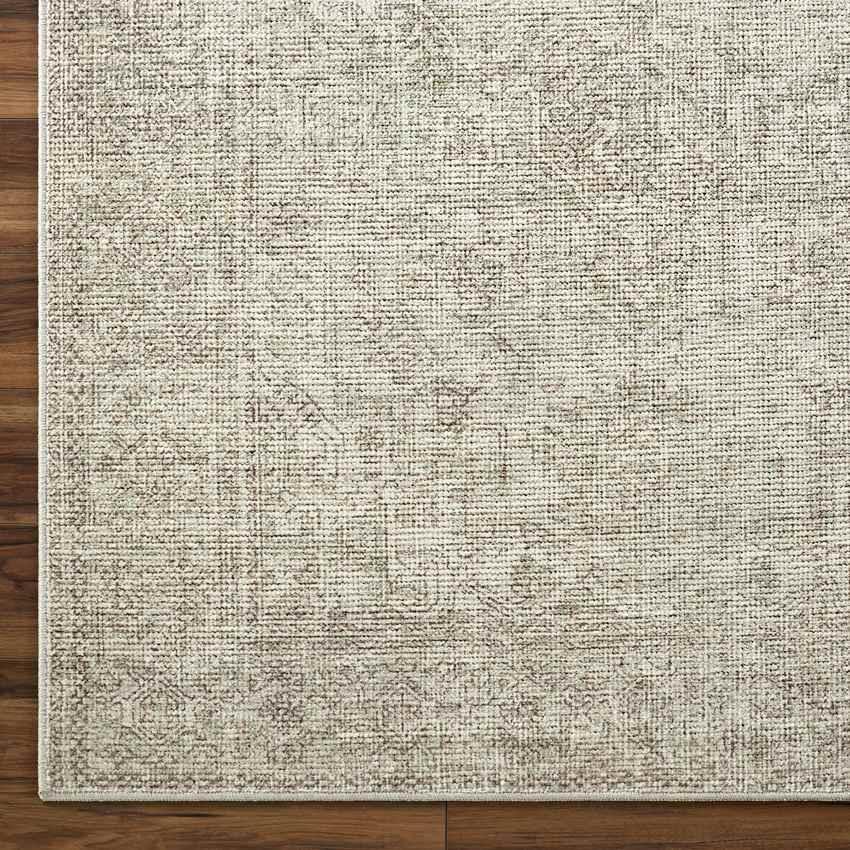 Kole Traditional Sage/Cream Area Rug