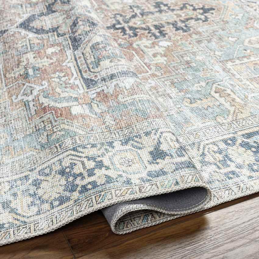 Kridia Traditional Sage Washable Area Rug