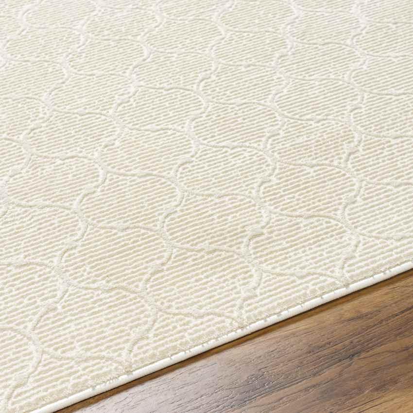 Kwasi Cottage Beige Washable Area Rug