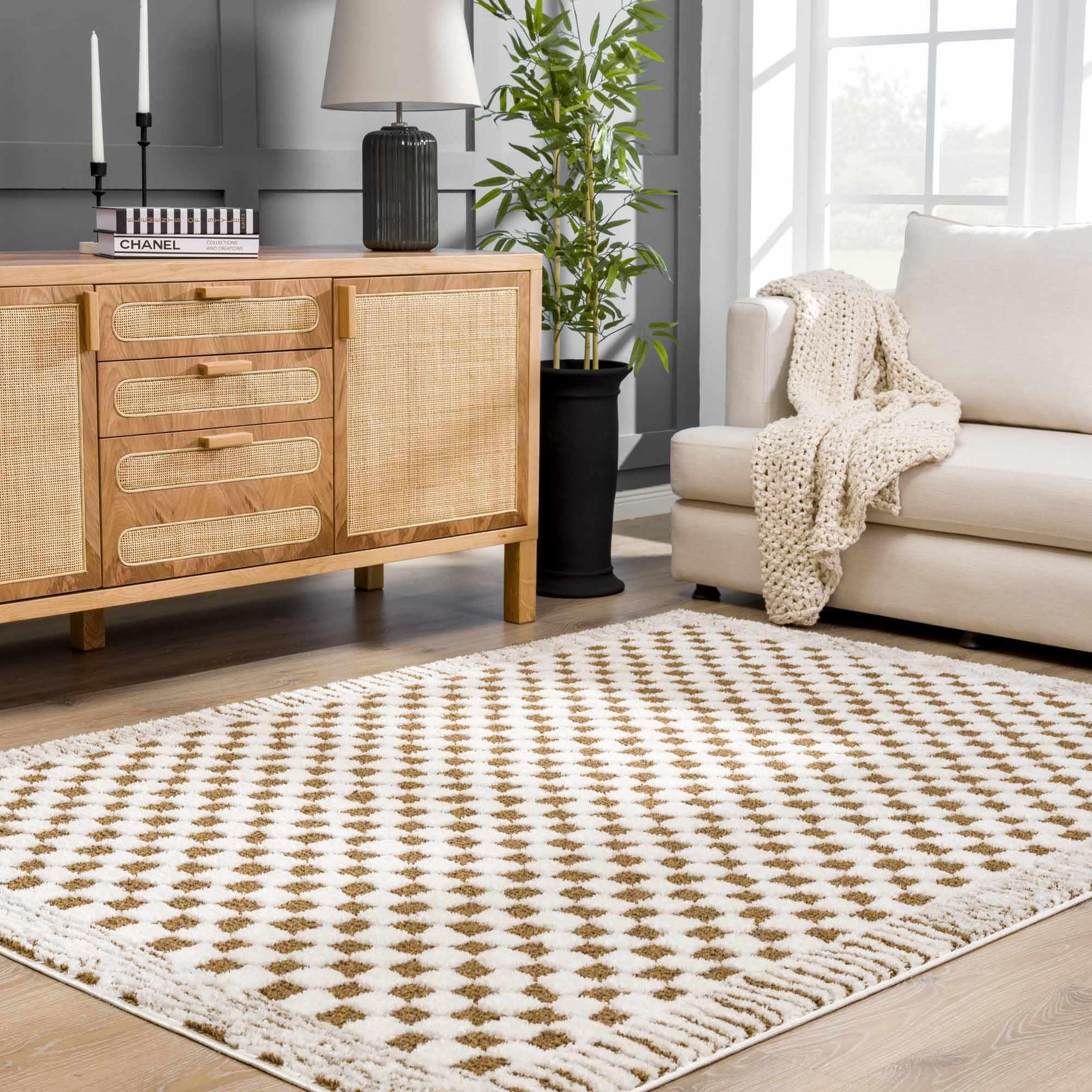 Leryn Brown&White Checkered Rug