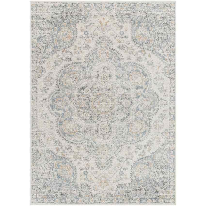 Lola Traditional Light Gray Area Rug