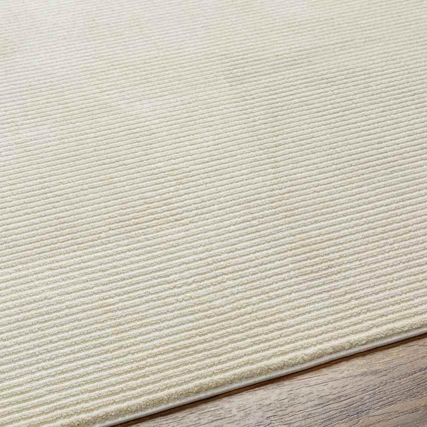 Lynnette Modern Beige Washable Area Rug