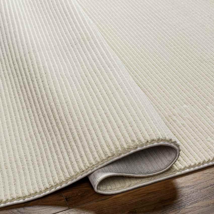 Lynnette Modern Beige Washable Area Rug