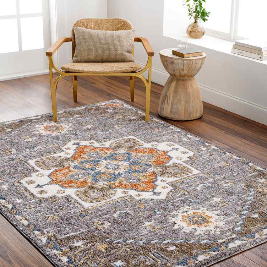 Makaela Traditional Medium Gray Area Rug