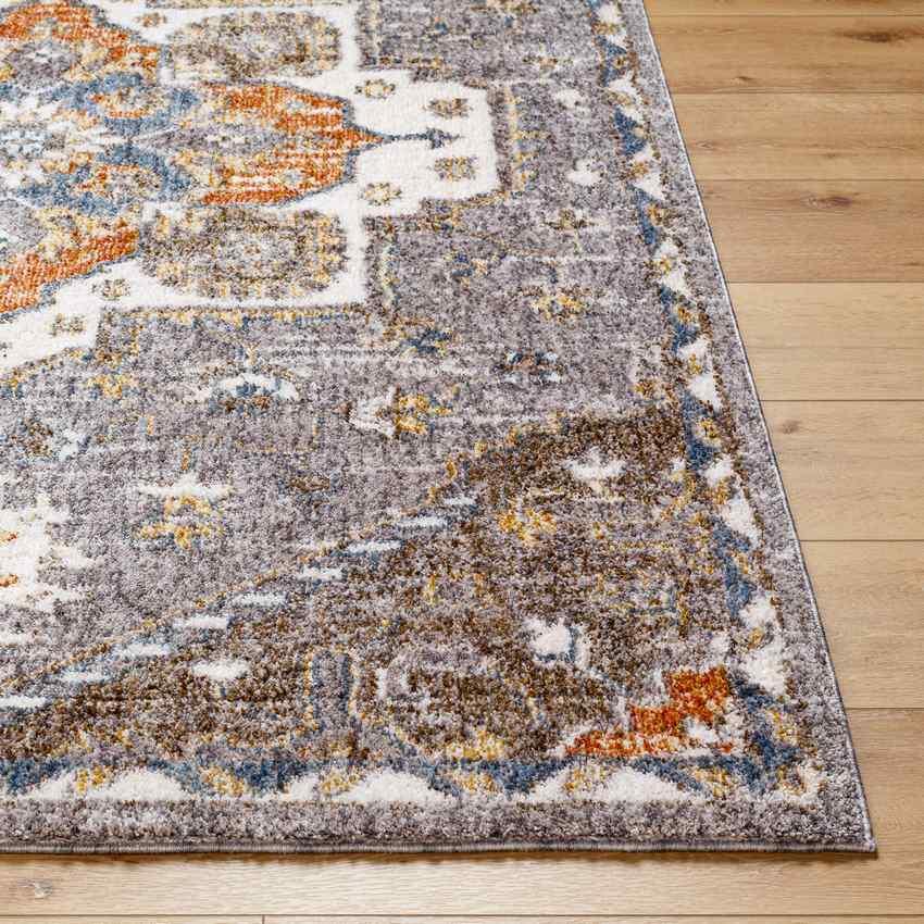 Makaela Traditional Medium Gray Area Rug