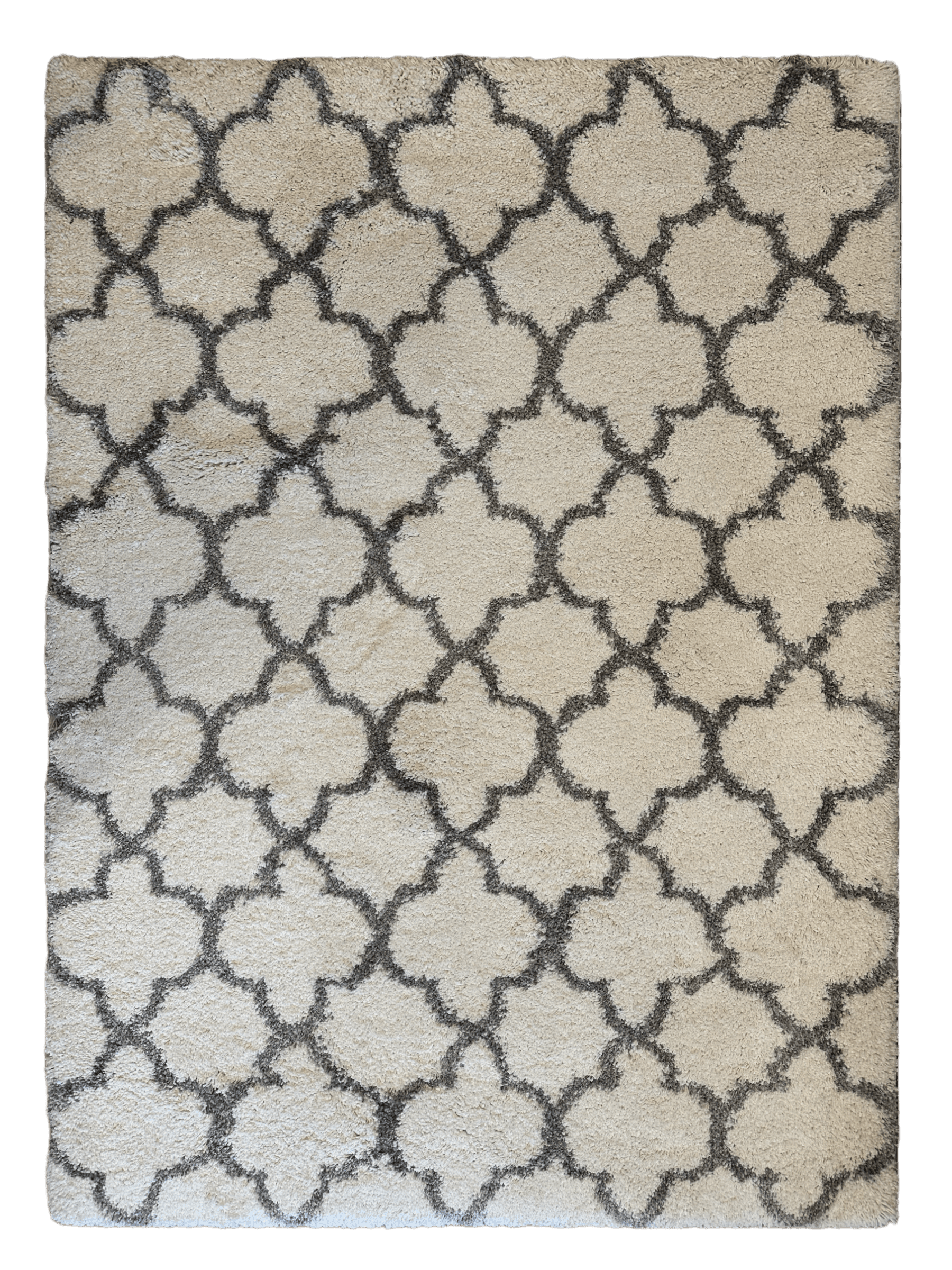 Mario Shag Collection Trellis Area Rug 5’3” x 7’3”