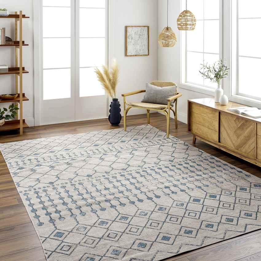 Mary Global Light Gray Washable Area Rug