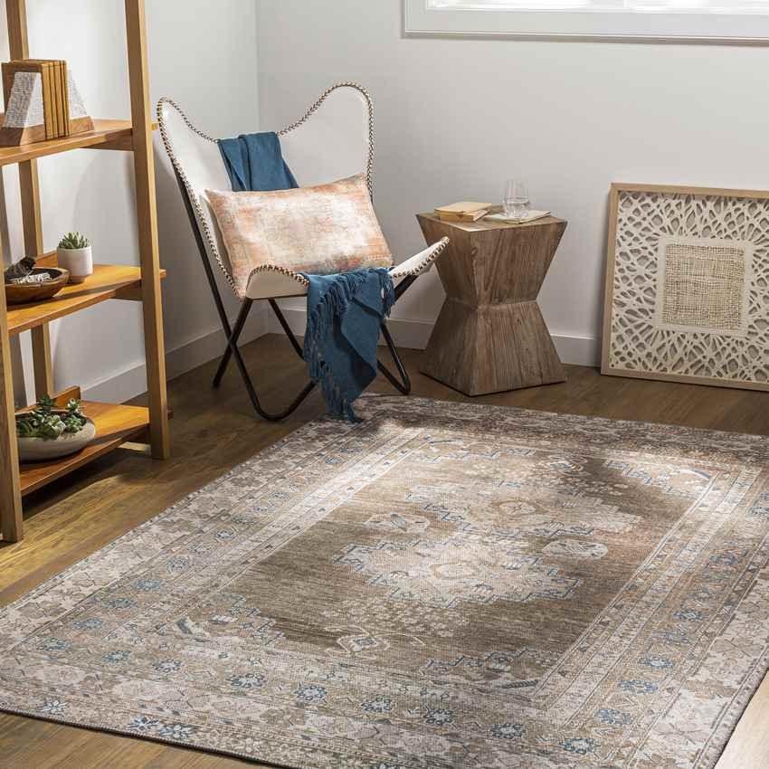 McCordsville Traditional Brown Washable Area Rug