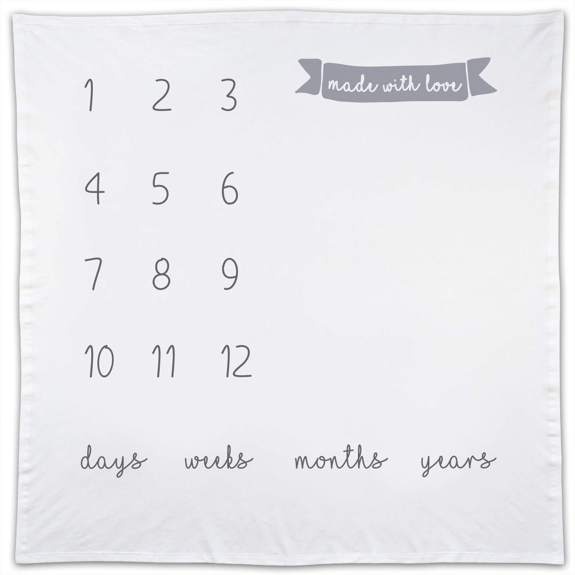 Milestone Little Photo Blanket