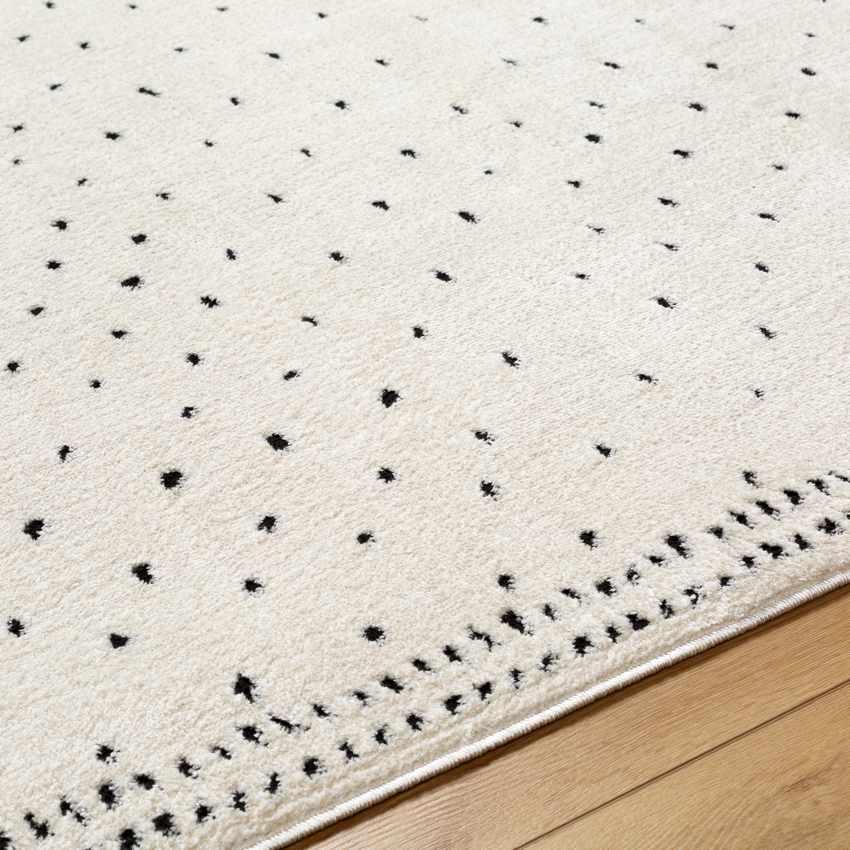 Monisha Modern Ivory/Black Area Rug