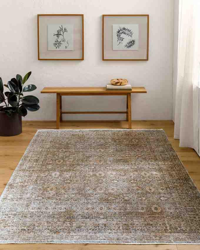 Moshe Traditional Brown/Ivory Washable Area Rug