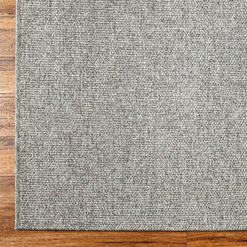 Nalani Solid and Border Silver Area Rug