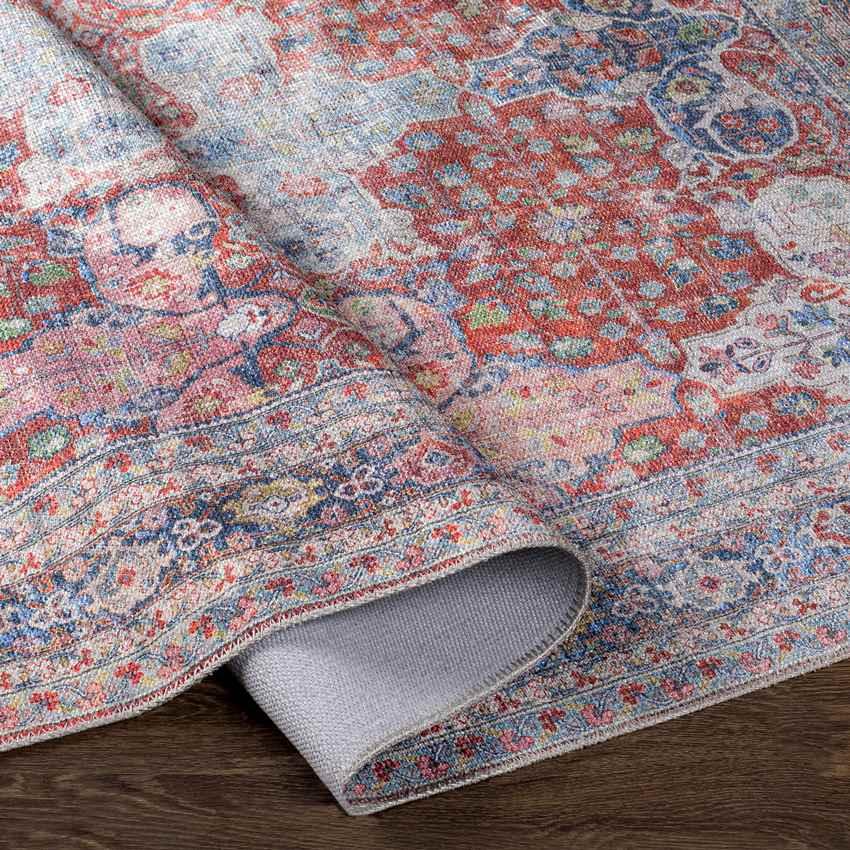 North Riverside Traditional Blush Washable Area Rug