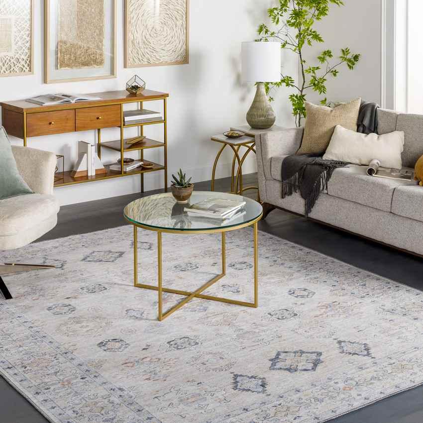 North Utica Traditional Beige Washable Area Rug