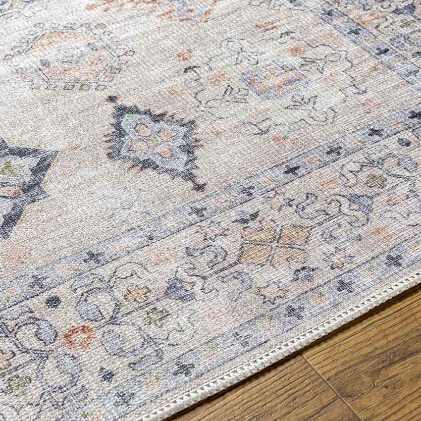 North Utica Traditional Beige Washable Area Rug