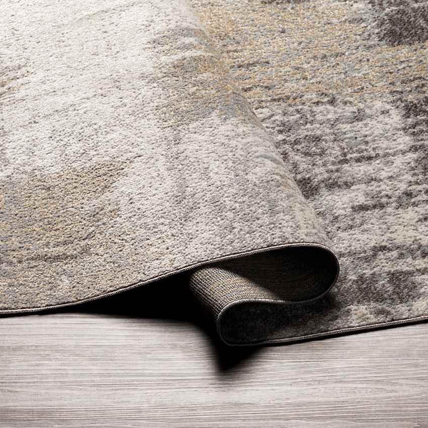 Olpe Traditional Taupe Washable Area Rug