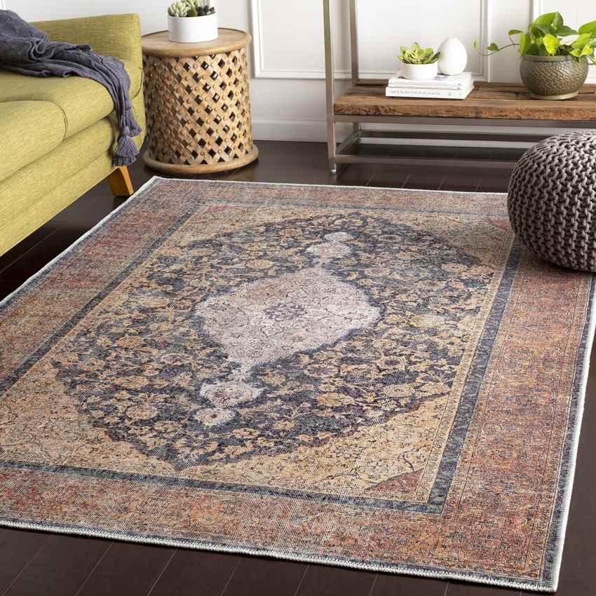 Olterterp Traditional Clay Washable Area Rug