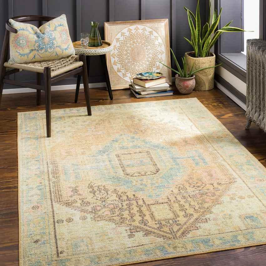 Palos Park Traditional Tan Washable Area Rug