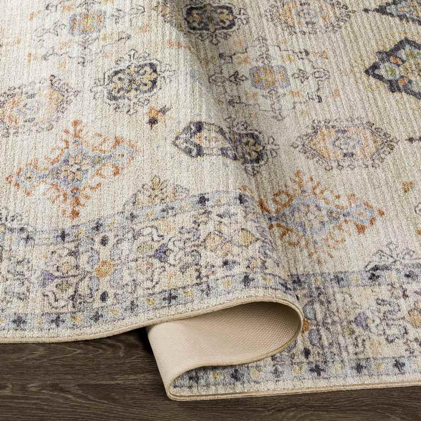 Park Forest Traditional Beige Washable Area Rug