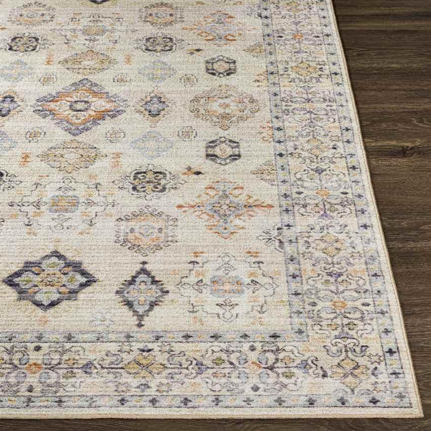 Park Forest Traditional Beige Washable Area Rug