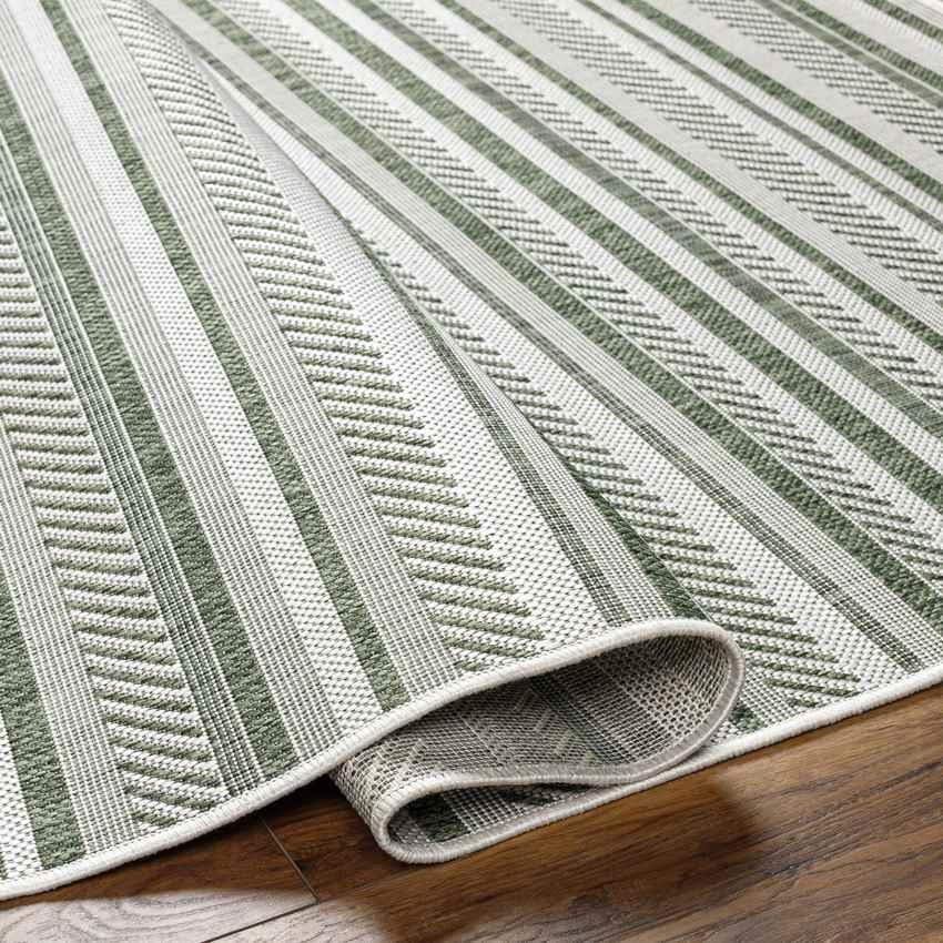 Pau Global Moss Green Area Rug