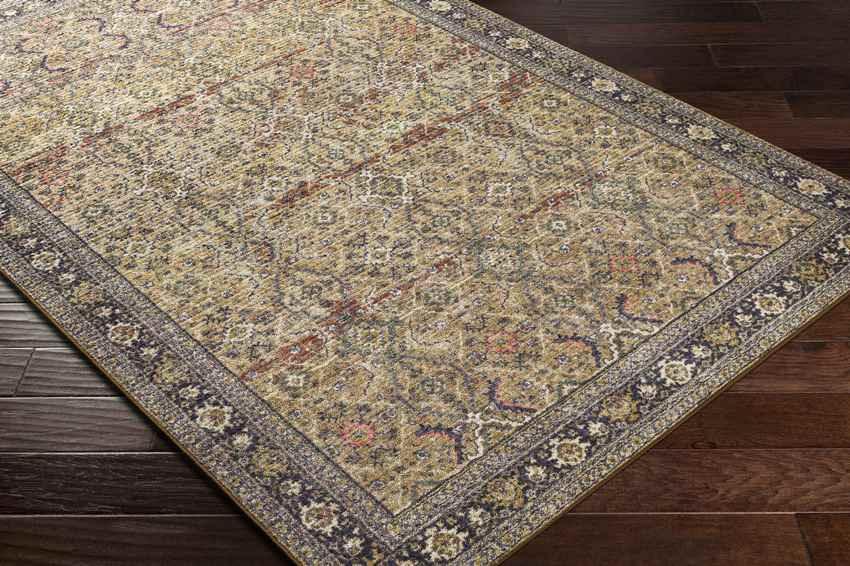 Paw Paw Traditional Tan Washable Area Rug