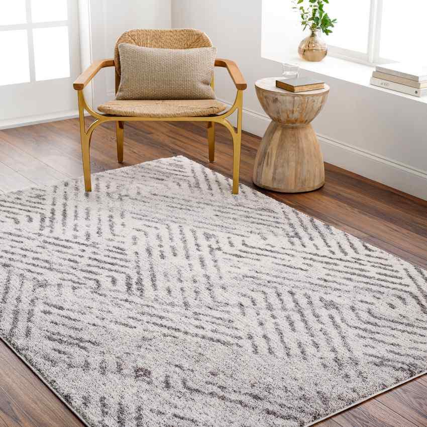 Prince Traditional Medium Gray/Light Beige Area Rug