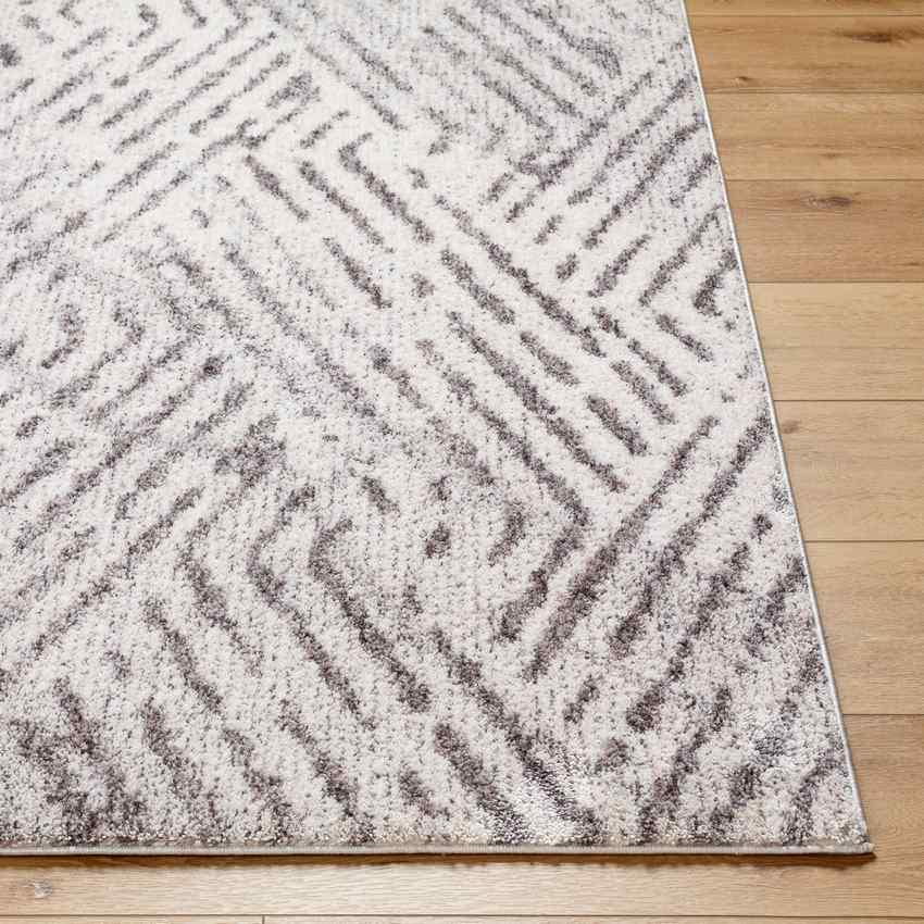 Prince Traditional Medium Gray/Light Beige Area Rug