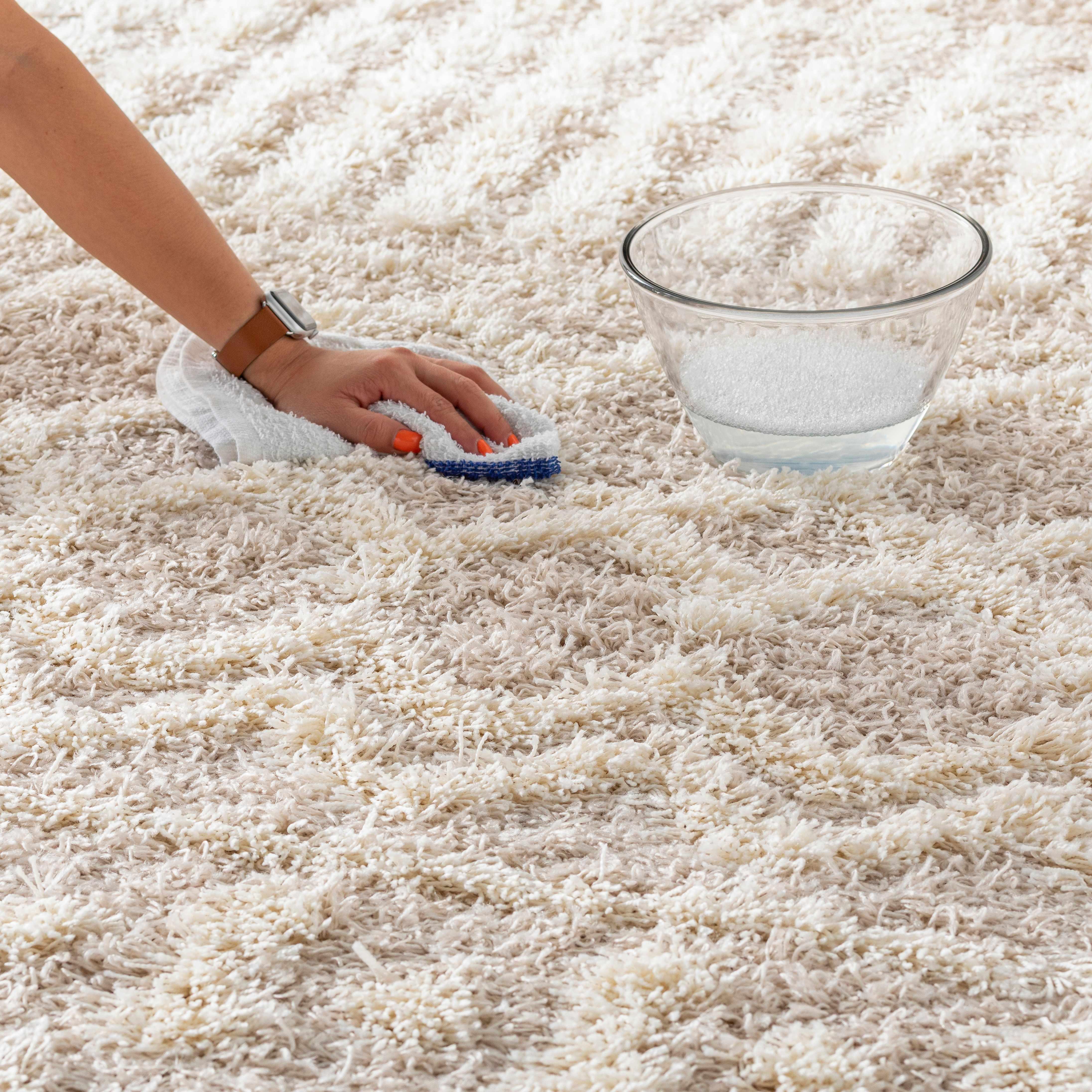 Prompton Cream Plush Area Rug