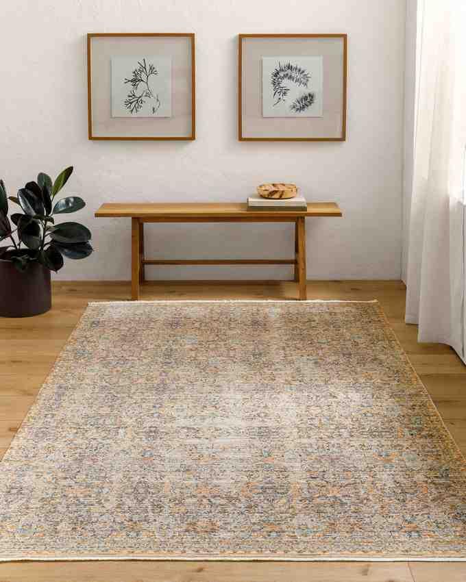 Radha Traditional Brown Washable Area Rug