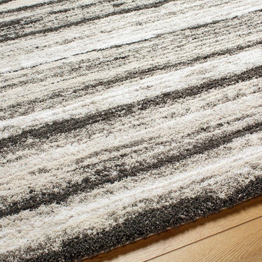 Rayshon Modern Black Area Rug