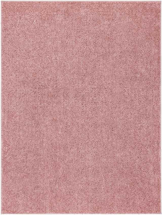 Richlawn Modern Coral Pink Washable Area Rug