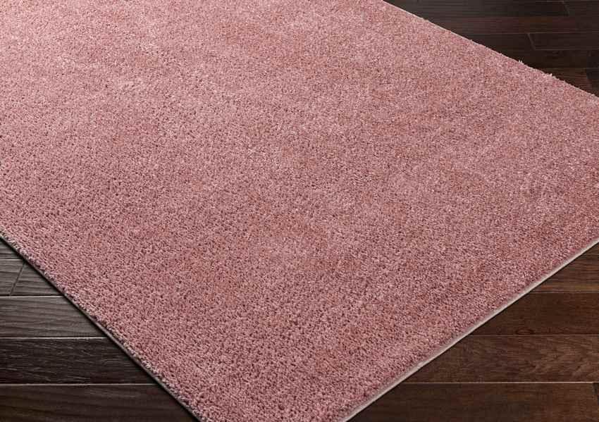 Richlawn Modern Coral Pink Washable Area Rug