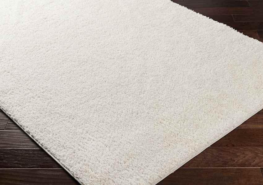 Richlawn Modern Light Beige Washable Area Rug