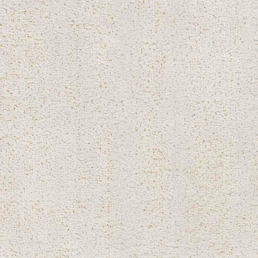 Richlawn Modern Light Beige Washable Area Rug