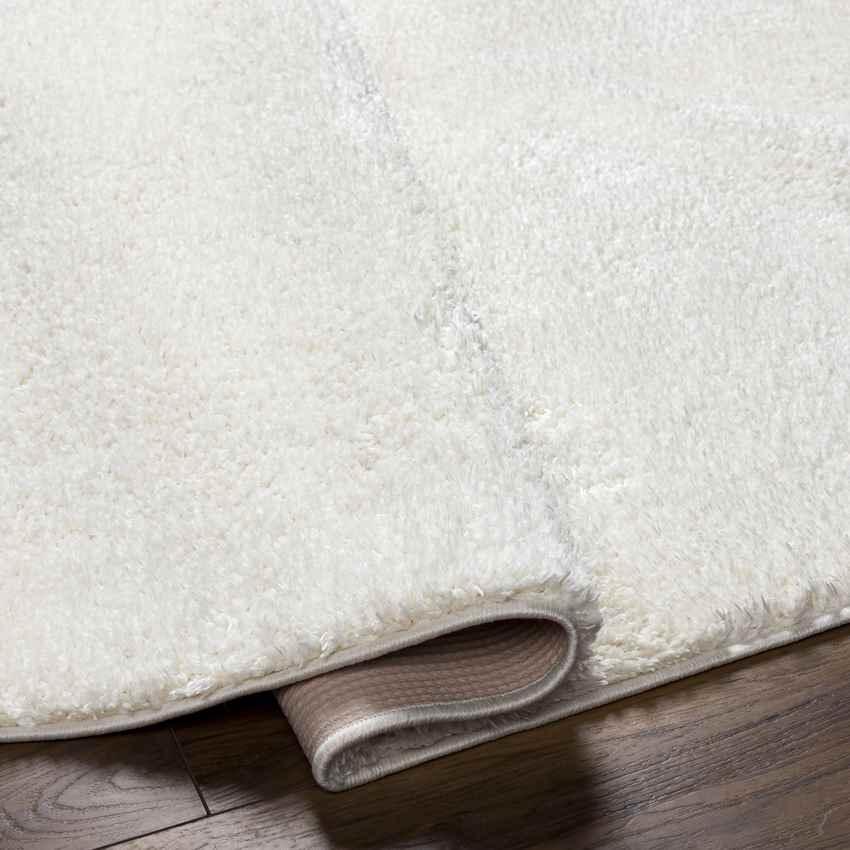 Richlawn Modern Light Beige Washable Area Rug