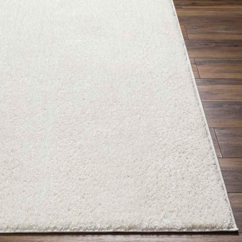 Richlawn Modern Light Beige Washable Area Rug